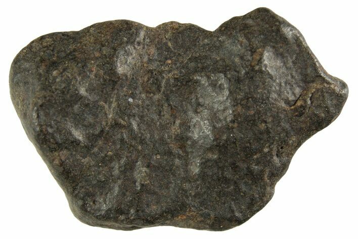 Carbonaceous Chondrite Meteorite ( g) - NWA #313733
